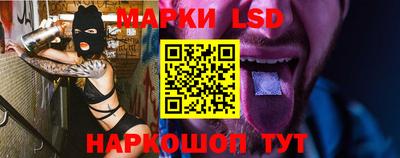 шишки Донской