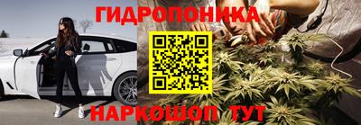 шишки Донской