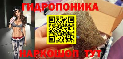 шишки Донской
