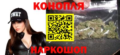 шишки Донской
