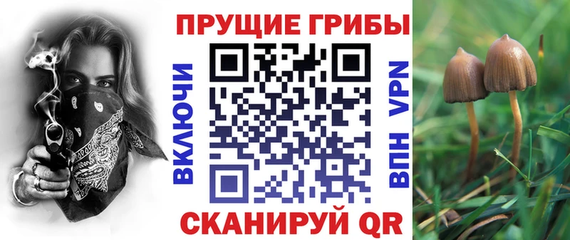 Псилоцибиновые грибы GOLDEN TEACHER  даркнет сайт  Копейск 